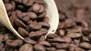 fresh coffee beans and spoon on table video