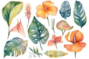 Collection of watercolor wild tropical leaves and flowers jungle plant leaves isolated on white background monstera hibiscus flower calla lily strelizia watercolor botanical illustration. photo