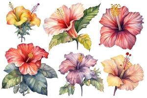 conjunto de diferentes flor hibisco en blanco antecedentes acuarela tropical floral ilustración. ai generado foto