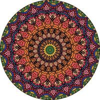 étnico brillante mandala estilo flores modelo. raro flor forma. oriental. anti estrés terapia patrones. tejido diseño elementos vector