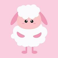 Cute simple cartoon white fluffy sheep on a pink background for children. Cute simple postcard with little sheep vector