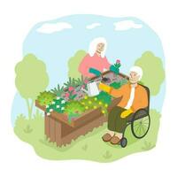 An elderly woman and an elderly man in a wheelchair take care of the plants in the therapeutic vegetable garden. vector