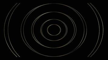 Gold Concentric Circles on Black vector