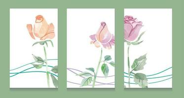 Set Watercolor hand drawn vector rose design .