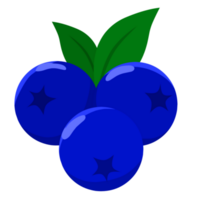 Blueberry fruit fresh png