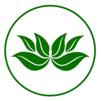 Green leaf icon png