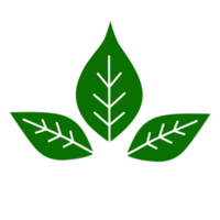 Green leaf icon 23363687 PNG