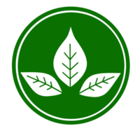 icona foglia verde png
