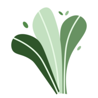 tropical feuillage plante buisson sur transparent Contexte png