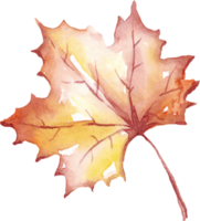 otoño hoja. acuarela clipart png