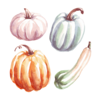 pompoenen. herfst humeur. waterverf clip art png