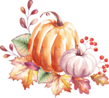 calabazas otoño humor. acuarela clipart png