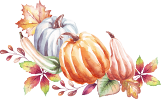 citrouilles. l'automne ambiance. aquarelle clipart png