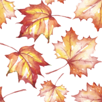 Fall leaves seamless pattern. Watercolor clipart png