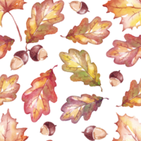 Fall leaves and acorns seamless pattern png