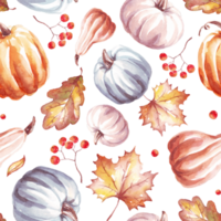 Pumpkins seamless pattern. WAtercolor clipart png