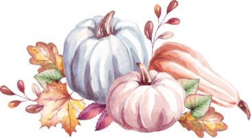 Pumpkins. Autumn mood. Watercolor clipart png