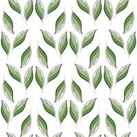 Modern seamless floral pattern, hand-drawn green leaves on a white background. An elegant template for fashionable prints. vector