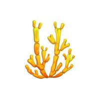 Underwater seaweed, aquarium algae cartoon plant vector