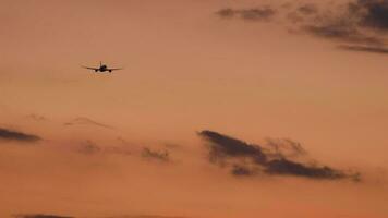 lange Schuss Rückseite Aussicht von ein Silhouette von ein Flugzeug fliegend Weg beim Sonnenuntergang. filmisch Aufnahmen von ein Jet Flugzeug Abfahrt, nehmen aus. Tourismus und Reise Konzept video