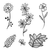 Set of vector doodle icons. Collection of design elements, branches and twigs with leaves, flower buds and petals.