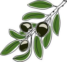 Lineart style black olives on branch with green leaves black outline isolated on white background vector