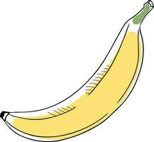 Lineart style vector single banana black outline on white background isolated