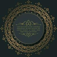 Calligraphic square ornament frame lines vector