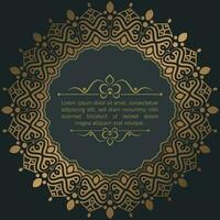 Calligraphic square ornament frame lines vector