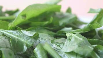 Fresh spinach leaves on table video