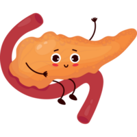 schattig tekenfilm karakter orgaan alvleesklier png