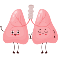 pulmões. desenho animado personagem órgão png