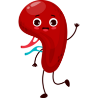 cute character organ spleen png