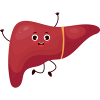 cute character organ Liver png