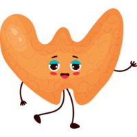 cute  character organ Thyroid gland png