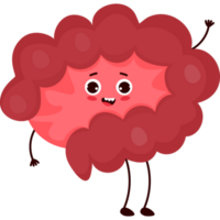 personaje Organo intestino png