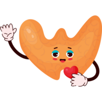 Happy  thyroid character png