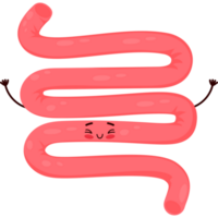 desenho animado personagem órgão pequeno intestino png