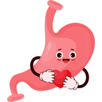 Cute cartoon stomach character png