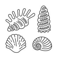 Seashells doodle set vector