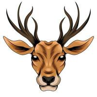 Deer head vector illustration