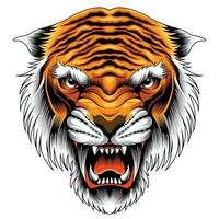 Tiger head vector illustration