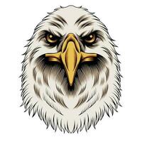 Eagle head vector illustration