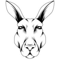 Kangaroo vector illustration