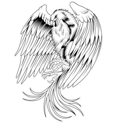 Phoenix vector illustration