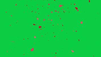 rouge Couleur papier cœur forme chute animation sur vert écran arrière-plan, romantique charmant chrominance clé vidéo pour la Saint-Valentin journée et mariages video