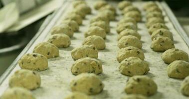 Baking Tray With Rows Of Chocolate Chip Cookie Dough Ready For Baking. - close up, sliding shot video