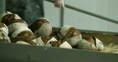 bakker werken in de bakkerij nemen uit de vers gebakken zuurdesem brood Aan de oven. - dichtbij omhoog schot video