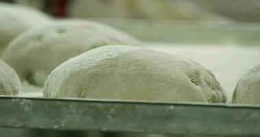 pâte de levain épreuve sur une cuisson plateau à l'intérieur le boulangerie - pâte repos et en hausse - proche en haut coup video