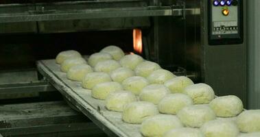 bakker voortvarend de handleiding lader met deeg binnen de dek oven en vervolgens getrokken na plaatsen de brood binnen. - medium schot video